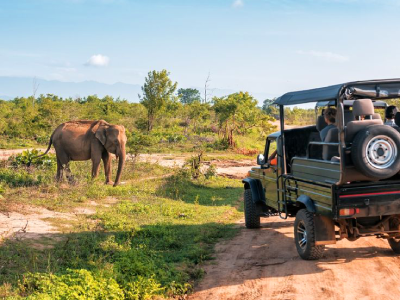 Ceylon Explore Journey Sri Lanka