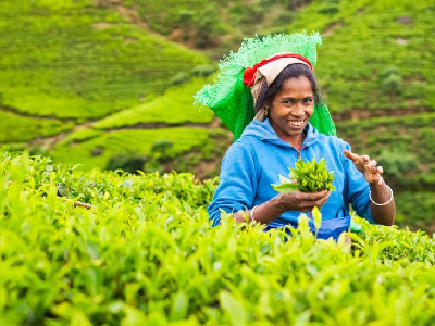 Ceylon Explore Journey Sri Lanka