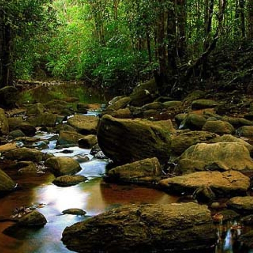 Ceylon Explore Journey Sri Lanka Packages